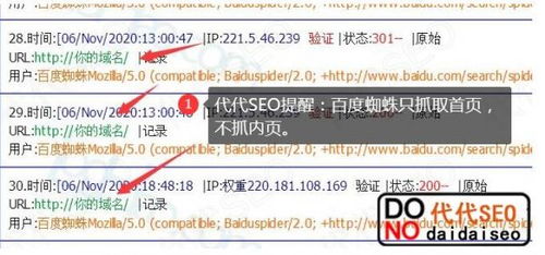 百度蜘蛛池价格:深入解析蜘蛛池源码ym扌云速捷，揭秘高效信息抓取的秘密武器