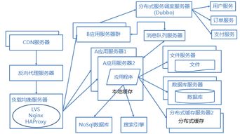 百度蜘蛛池咨询:蜘蛛池优化策略，揭秘蜘蛛池所需模板数量之谜