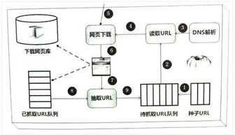 百度蜘蛛池价格:揭秘蜘蛛池原理，sy扌云速捷背后的高效网络爬虫技术