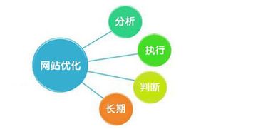 百度蜘蛛池租用:SEO排名提升策略，外推蜘蛛池在搜索引擎优化中的关键作用