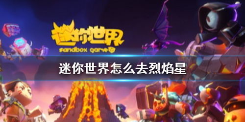 百度蜘蛛池引流:一只蜘蛛的奇幻之旅，探索神秘的蜘蛛池
