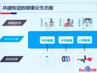 百度蜘蛛池咨询:揭秘蜘蛛池源码SV云速捷，高效数据采集的秘密武器