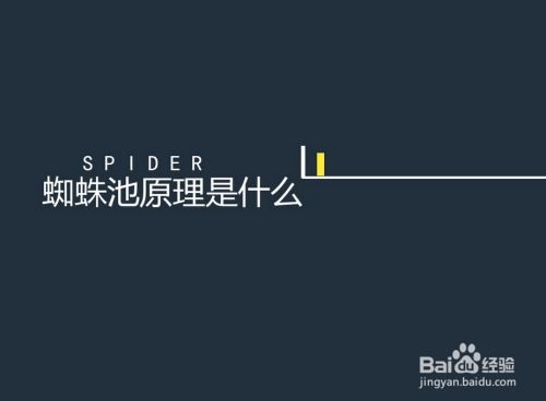 百度蜘蛛池出租:蜘蛛池租用是否便宜？知乎上的热议与真相揭秘
