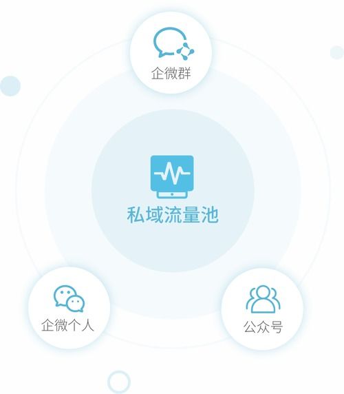 百度蜘蛛池出租:蜘蛛池出租网站，助力网络营销，提升网站流量新选择
