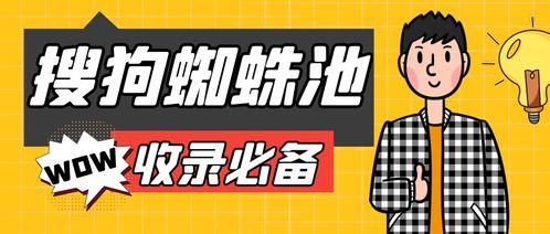 百度蜘蛛池效果:揭秘搜狗收录蜘蛛池网站，如何应对搜索引擎优化中的潜在风险