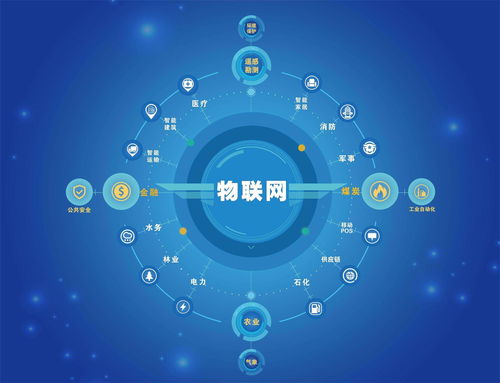 百度蜘蛛池优化:蜘蛛池哪个好用？深度解析各大蜘蛛池优缺点，助你高效抓取信息