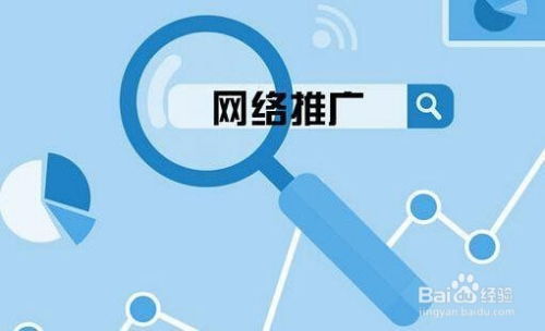 百度蜘蛛池引流:百度蜘蛛池首页覆盖，揭秘高效推广的秘密武器