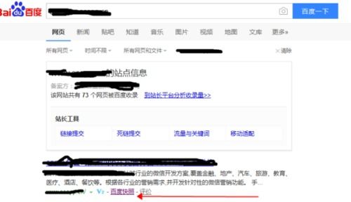 百度蜘蛛池租用:好用的蜘蛛池软件盘点，助力网站SEO优化，提升网站排名