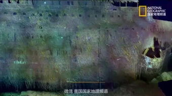 百度蜘蛛池价格:我用了蜘蛛池，网络世界的新奇探险之旅