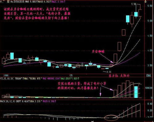 百度蜘蛛池收录:揭秘金蜘蛛私募敢死队股票池，如何捕捉市场热点，实现财富增值