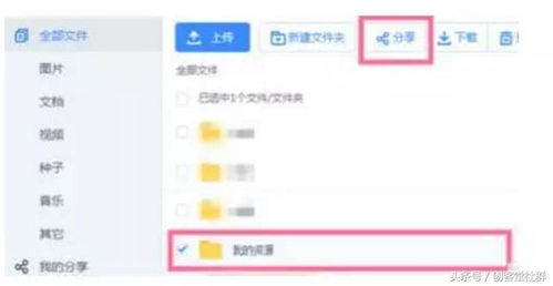百度蜘蛛池引流:卢松松的蜘蛛池攻略，如何高效利用网络资源，提升网站流量