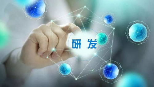 百度蜘蛛池效果:淘宝蜘蛛池，揭秘其真实效用与潜在风险