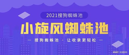 百度蜘蛛池价格:揭秘搜狗霸屏蜘蛛池推广软件，助力企业高效提升在线知名度