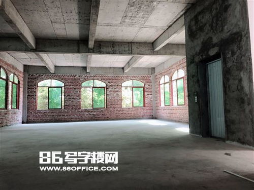 百度蜘蛛池出租:揭秘蜘蛛池，网络世界的隐秘网络营销工具