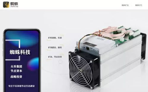 百度蜘蛛池租用:蜘蛛矿池用户指南，如何查看自己的矿机状态