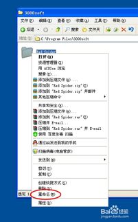百度蜘蛛池优化:揭秘红蜘蛛池程序破解版，技术突破背后的风险与法律考量