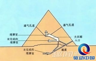 百度蜘蛛池引流:揭秘蜘蛛池原理，网络营销中的神秘力量