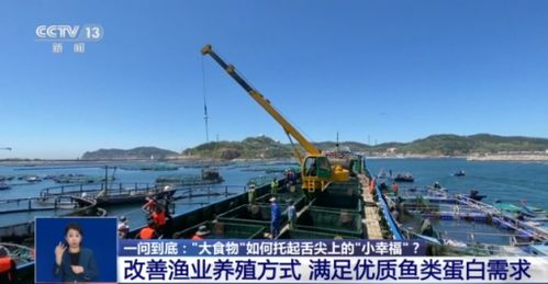 百度蜘蛛池咨询:贵州蜘蛛池出租服务，助力企业高效捕捞，保障水产品安全