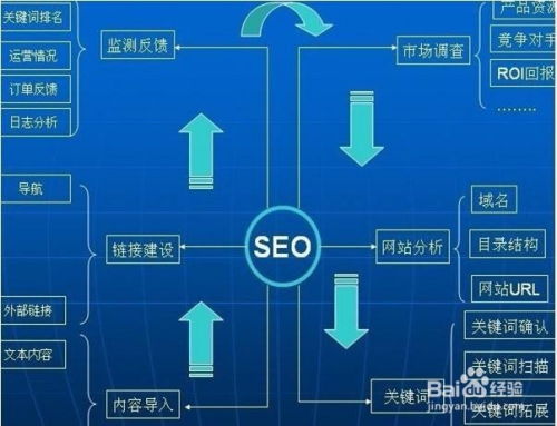 百度蜘蛛池出租:揭秘蜘蛛池原理，RR氵云速捷助力网络营销新篇章