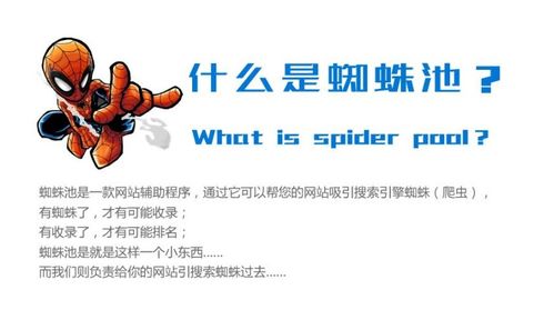 百度蜘蛛池收录:蜘蛛池在SEO优化中的角色，能否助力网站获得好排名？