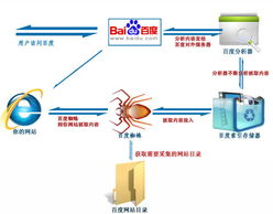 百度蜘蛛池租用:蜘蛛池，揭秘其有效性之谜
