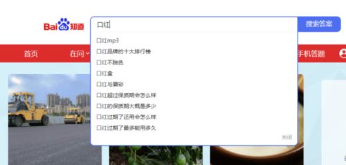 百度蜘蛛池引流:360秒收录蜘蛛池，揭秘高效内容收录的秘诀