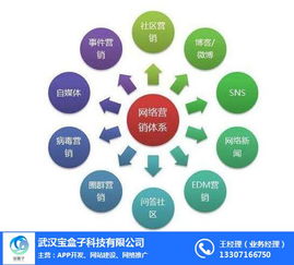 百度蜘蛛池价格:蜘蛛池利用K站，揭秘高效网络营销策略