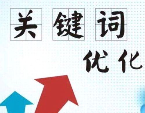 百度蜘蛛池优化:最蜘蛛池，好用还是鸡肋？深度解析其优缺点