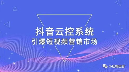 百度蜘蛛池引流:云蜘蛛池外链，新时代SEO策略的破局之道