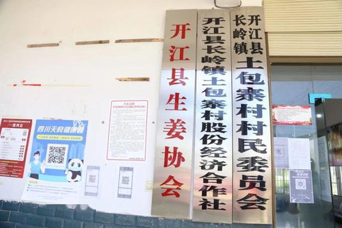 百度蜘蛛池引流:户县蜘蛛池外推软件，助力乡村振兴的科技利器