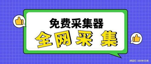 百度蜘蛛池咨询:卢松松的蜘蛛池，助力SEO优化，提升网站流量，实用又有效