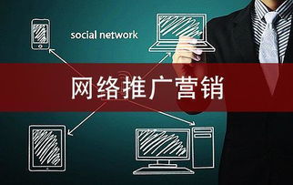 百度蜘蛛池引流:蜘蛛池免费百度推广广告，低成本高效益的营销利器
