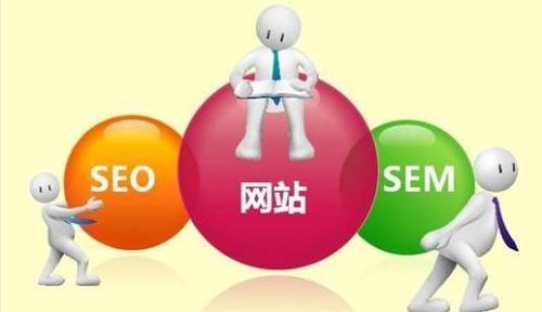 百度蜘蛛池收录:SEO黑帽与白帽，揭秘蜘蛛池的奥秘与风险