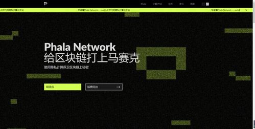 百度蜘蛛池效果:揭秘网络黑产，百度搜狗蜘蛛池视频背后的秘密与危害