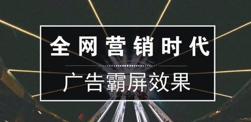 百度蜘蛛池引流:蜘蛛矿池，数字货币挖掘领域的佼佼者