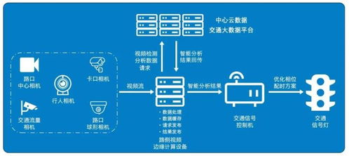 百度蜘蛛池价格:蜘蛛池小飞虫之谜，揭秘其生态作用与生存智慧