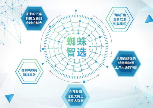百度蜘蛛池效果:揭秘1万域名蜘蛛池出租，网络爬虫服务的全新选择
