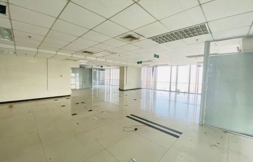百度蜘蛛池价格:揭秘蜘蛛池搭建攻略，哪里可以高效搭建蜘蛛池？