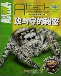 百度蜘蛛池价格:五大连池蜘蛛，探寻神秘生物的奥秘