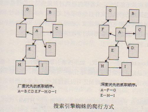 百度蜘蛛池价格:蜘蛛矿池全悼线之谜，深度解析其技术原理与应对策略