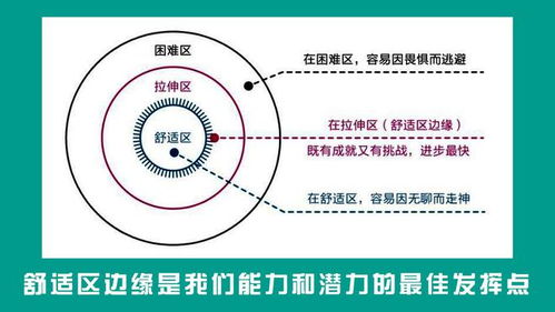百度蜘蛛池租用:蜘蛛池工作原理图解，揭秘高效信息抓取的秘密武器