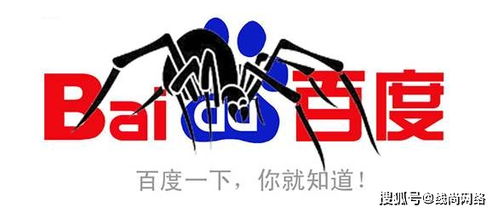百度蜘蛛池收录:蜘蛛池搭建与关键词推广，打造高效SEO策略的秘诀