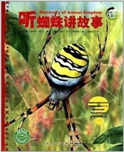 百度蜘蛛池收录:探秘小熊猫蜘蛛池，揭秘这种神秘动物的独特魅力