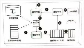 百度蜘蛛池出租:蜘蛛池搭建程序图解教学，轻松掌握网络爬虫搭建技巧