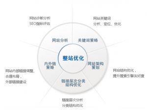 百度蜘蛛池引流:揭秘最佳蜘蛛池位置，打造高效搜索引擎优化策略