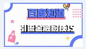 百度蜘蛛池引流:蜘蛛池外推原理图解，揭秘高效网络营销的秘密武器