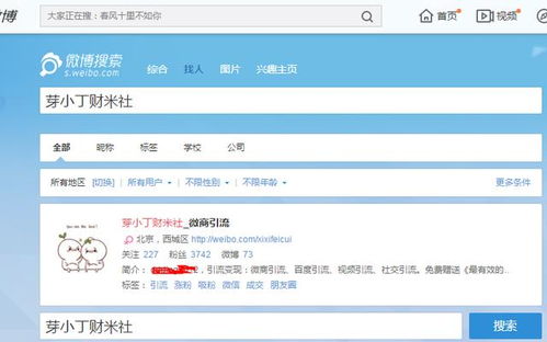 百度蜘蛛池引流:揭秘微博外推代发蜘蛛池，如何高效提升账号曝光度
