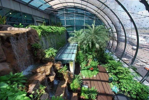 百度蜘蛛池效果:蜘蛛池水养鱼，打造美丽生态景观