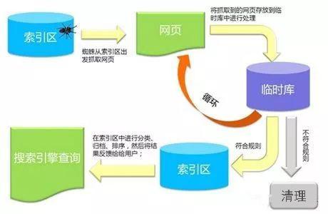 百度蜘蛛池咨询:探秘老王蜘蛛池官方网站，揭秘高效引流秘籍