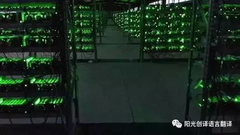 百度蜘蛛池效果:搭建蜘蛛矿池，揭秘高效比特币挖矿新趋势